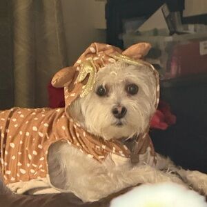 Meet your Posher, Aida